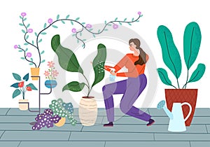 Houseplants Care vector illustration. Young woman carefully sprays plants in house.