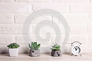 Houseplants in flowerpots and alarm clock on a table near white brick wall