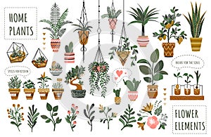 Houseplants flowerpots isolated icons vector illustration. Decorative home plants, botanical icons and stickers. Flower