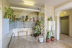 Houseplants in the hallway of multi-storey buildings, flowers from porches