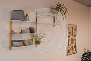 Houseplants in a modern clean furnished apartment