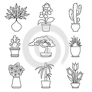 Houseplants in outline style.