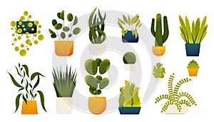 Houseplants in pots. Cartoon decorative plants in vases, monstera leaf and cacti, alocasia and philodendron in vase