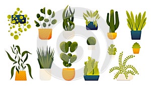 Houseplants in pots. Cartoon decorative plants in vases, monstera leaf and cacti, alocasia and philodendron in vase. Vector flat