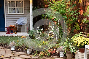 Houseplants in pots in courtyard. Cozy garden corner. The interior Patio of wooden house with green plants in pots. Gardening on s