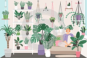 Houseplants in trendy hygge style. Collection of Home plants in flower pots. Urban jungle decor set . Evergreen plants