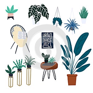 Houseplants urban jungle and boho modern scandinavian style decoration elements hand drawn cartoon doodle vector