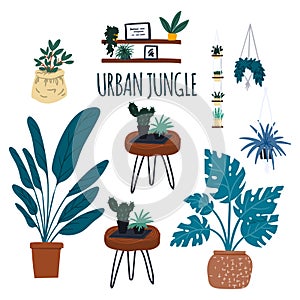 Houseplants urban jungle and retro furniture. Boho modern scandinavian style decoration elements hand drawn cartoon