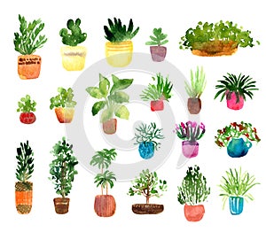 Houseplants watercolor set