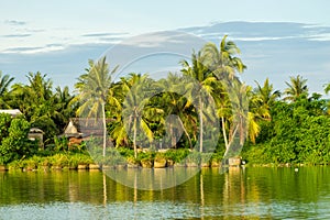 Houses along the Thu Bon river near Hoi An