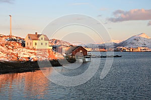 Houses in Ballstad's fjord