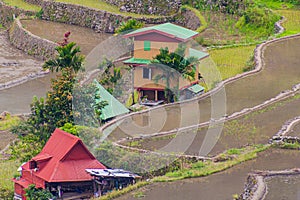 Houses at Batad rice terraces, Luzon island, Philippin