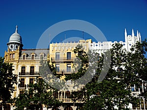 Houses behind trees in Valencia, Spain photo