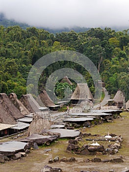 Houses of Bena traditional village in jungle, Flores Island, Indonesia photo