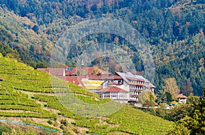 Houses in The Black Forest mountains