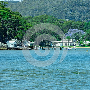 Houses and Boat Sheds amongst the trees on Hawkesbury River on Sydney Central Coast NSW Australia