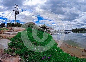 Houses, boats, wharfs, Trees and flowers on Sydney George River mouth at Tom Uglys Bridge NSW Australia.