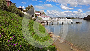 Houses, boats, wharfs, Trees and flowers on Sydney George River mouth at Tom Uglys Bridge NSW Australia.