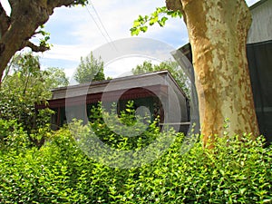 Houses built in harmony with the vegetation.