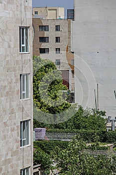 Houses in the city of Karaj have vegetation among them