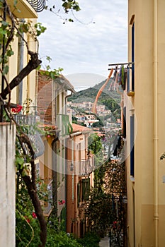 Houses of Collioure