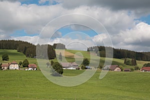 Houses in the contryside and near the forest