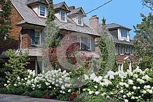 Houses with dormer windows