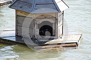 Houses for ducks on the lake. Taking care of ducks. Man-made nests for gray ducks