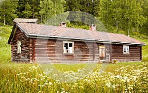 Houses and environment in Sweden.