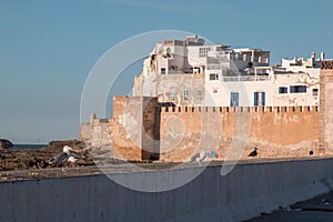 Houses of Essouira, Morocco