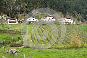 Houses and farms in the Basque country.