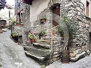 Houses and flowers in Exilles, Piedmont, Val di Susa, Italy photo
