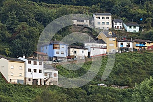 Houses on the forest hill in Cangas del Narcea. Asturias