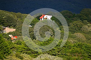 Houses in Sierra de Alvarez, forest in san luis potosi I photo