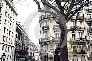 Houses on french streets of Paris. citylife concept, black balcony lace