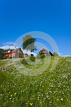 Houses on the grass hill