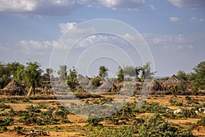 Houses of the Hamer tribe in Ethiopia, Omo Valley