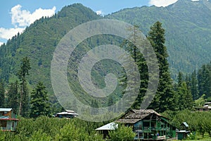 Houses, high trees and mountains - Parvati Valley a holiday destination in the the northern Indian state of Himachal Pradesh