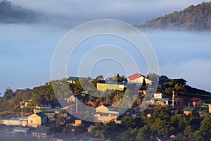 Houses in hightlands