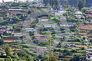 Houses on a hillside at Nuwara Eliya in Sri Lanka.