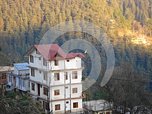 Houses, Himachal Pardesh, Shimla, India