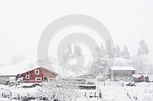 Houses in La Arboleda with snowstorm photo