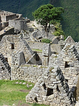 Houses at Machu Pichu in Peru