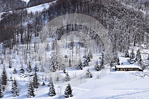 Mountain houses covered with snow