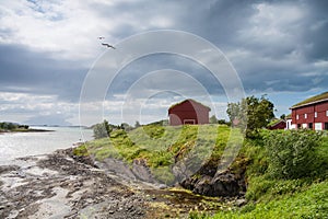 Houses near the sea with lowtide, Norway photo
