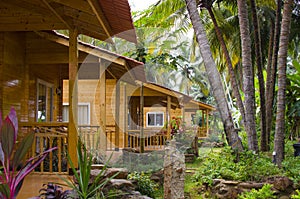 Houses in a palm grove