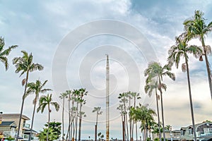 Houses and palm trees against cloudy blue sky in stunning Long Beach California