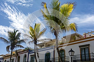 Houses and palm trees in the Spanish town of Puerto de Mogan photo