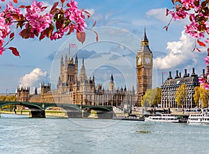 Houses of Parliament Westminster palace and Big Ben tower in spring, London, UK