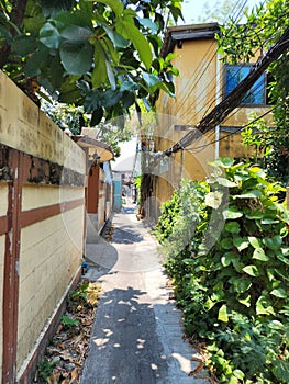 Houses, people live in communities along dense alleys. photo